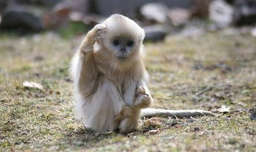 5c388d99450e3.jpg 5c388d99450e3.jpg